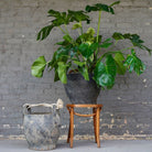 Vintage Tire Coal Bucket - Planters & Pots - Hello Norden