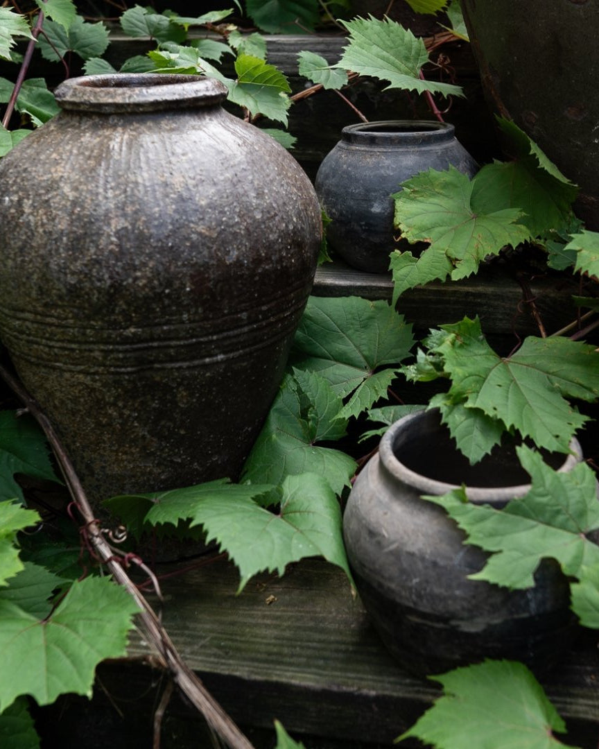 Vintage Wine Jar - Vases - Hello Norden