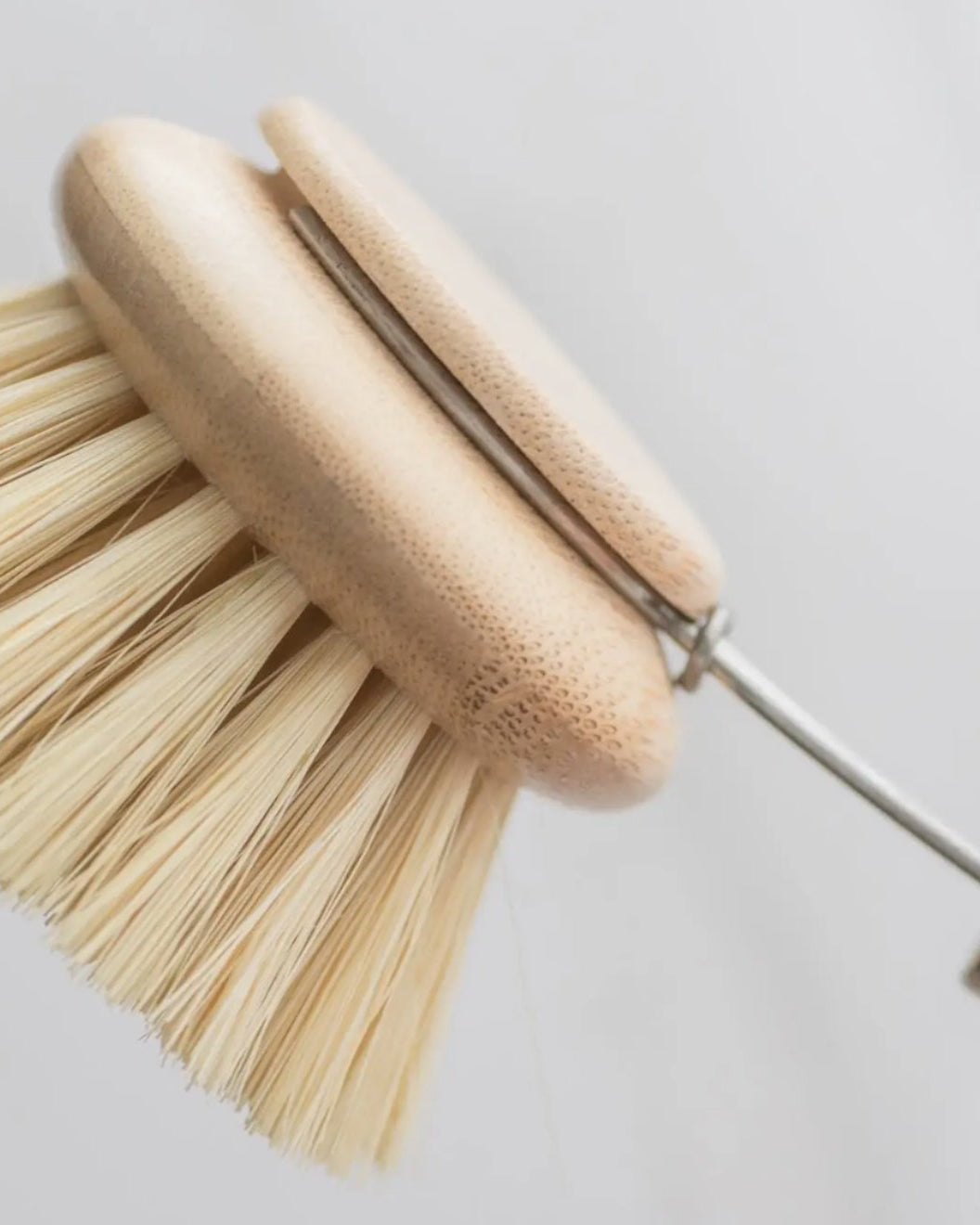 Wooden Dish Brush with Replaceable Head - Cleaning Brushes - Hello Norden