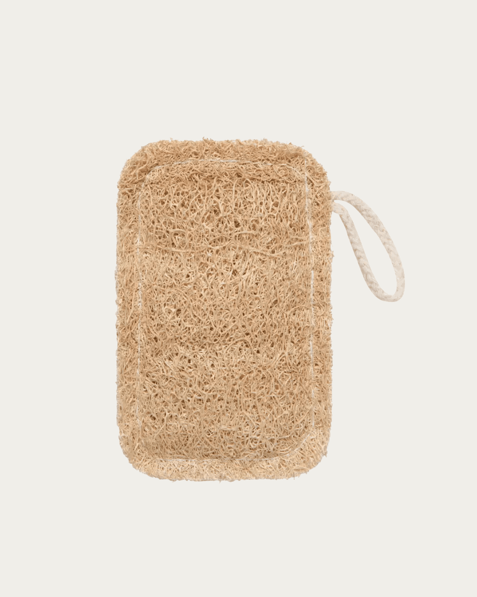 Loofah Dish Sponge