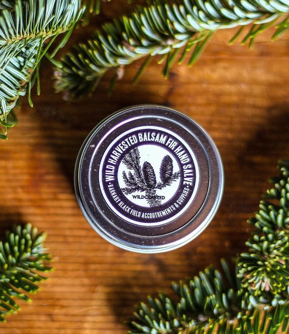 Balsam Fir Salve - Apothecary - Hello Norden