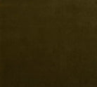 Banks Balsam Eco-Performance Velvet fabric swatch