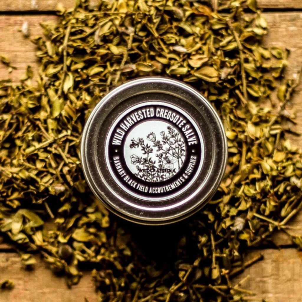 Creosote Salve - Apothecary - Hello Norden