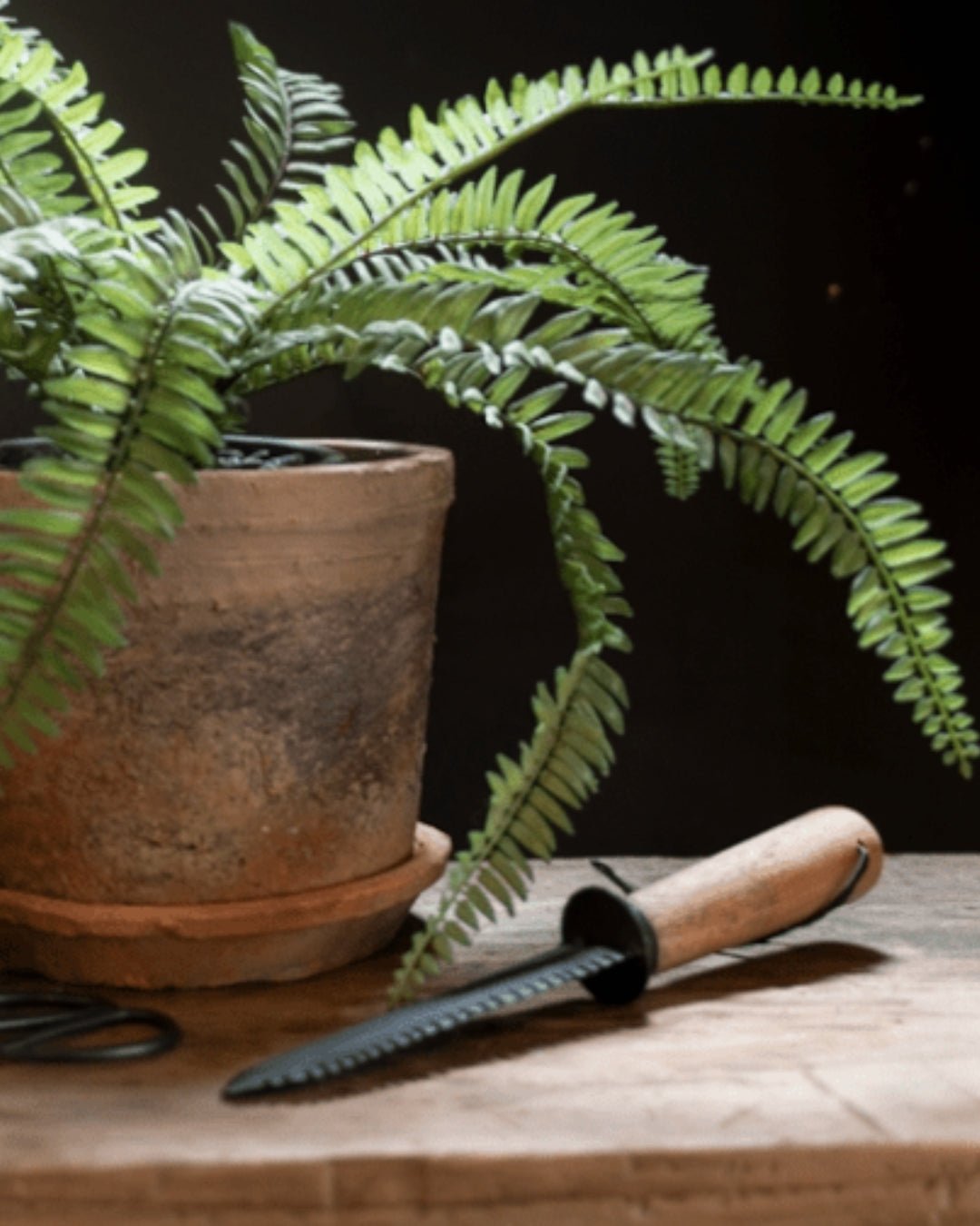 Enyo Garden Knife - knife - Hello Norden