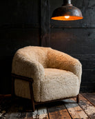 Eeroa Chair - Lounge Chairs - Hello Norden