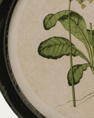 Framed Floral Wall Art with Botanical Print - Art & Mirrors - Hello Norden