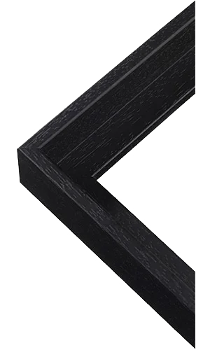 Black canvas float frame