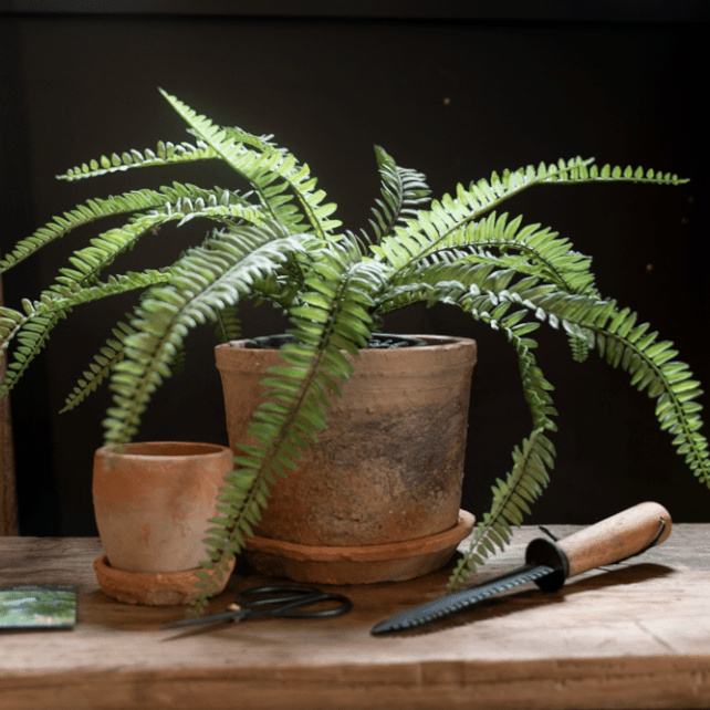 Joel Mossed Terracotta Garden Pot - Pots - Hello Norden