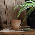 Joel Mossed Terracotta Garden Pot - Pots - Hello Norden