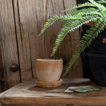 Joel Mossed Terracotta Garden Pot - Pots - Hello Norden