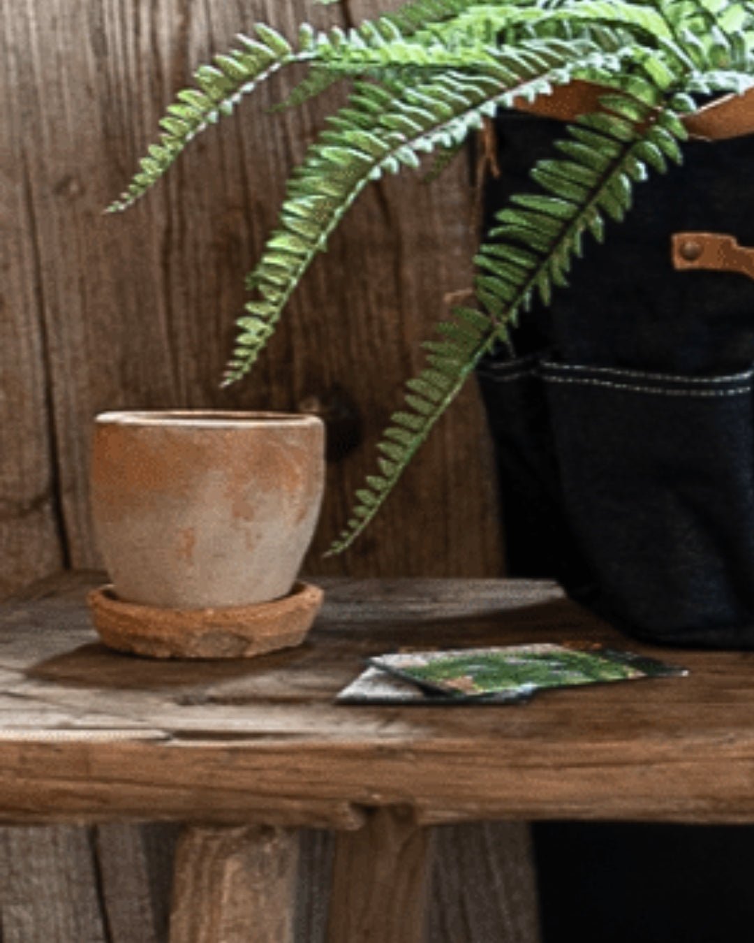 Joel Mossed Terracotta Garden Pot - Pots - Hello Norden