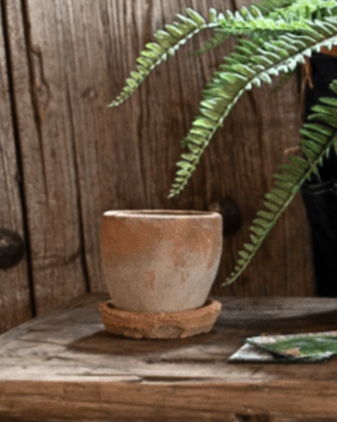 Joel Mossed Terracotta Garden Pot - Pots - Hello Norden