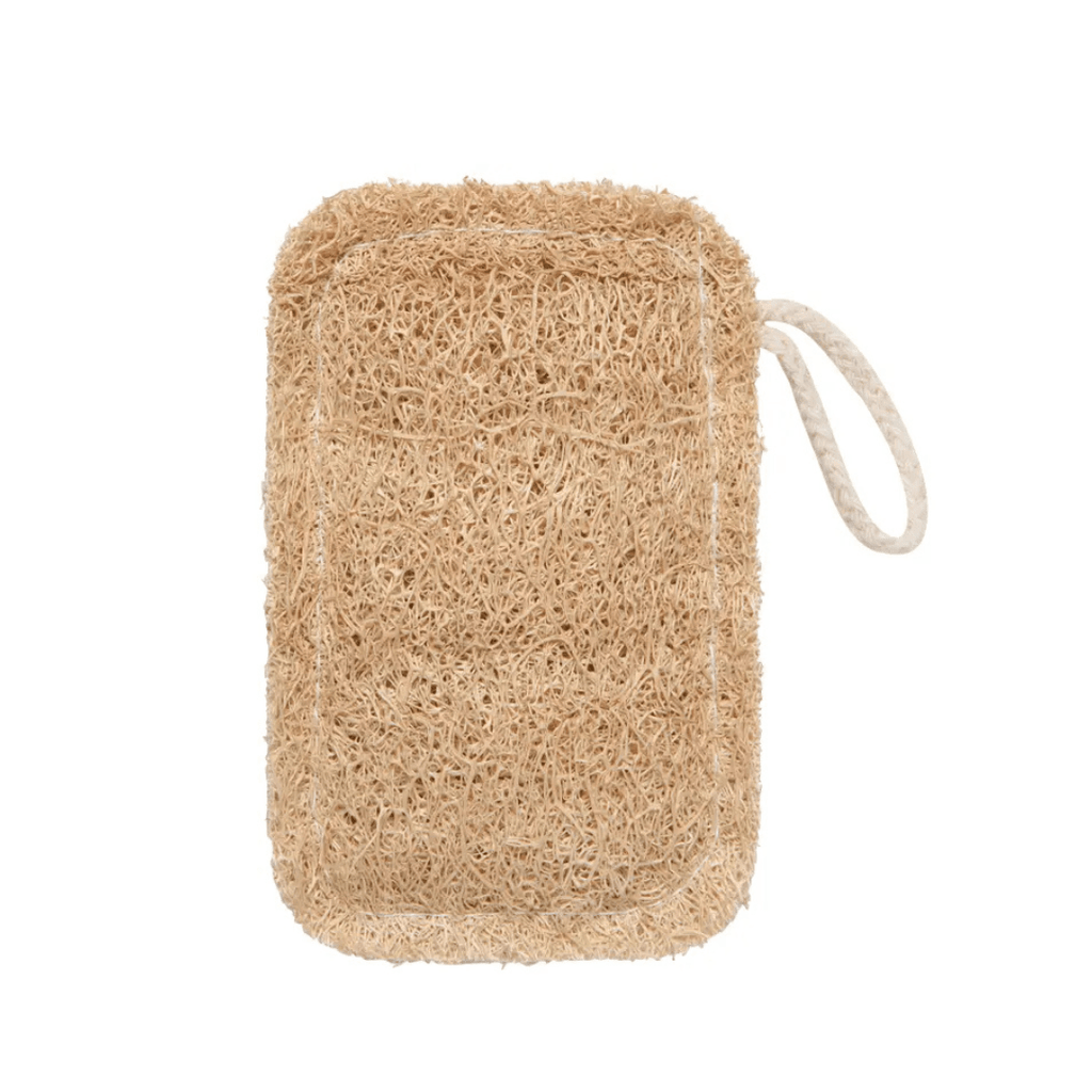 Loofah Dish Sponge - Brushes & Sponges - Hello Norden