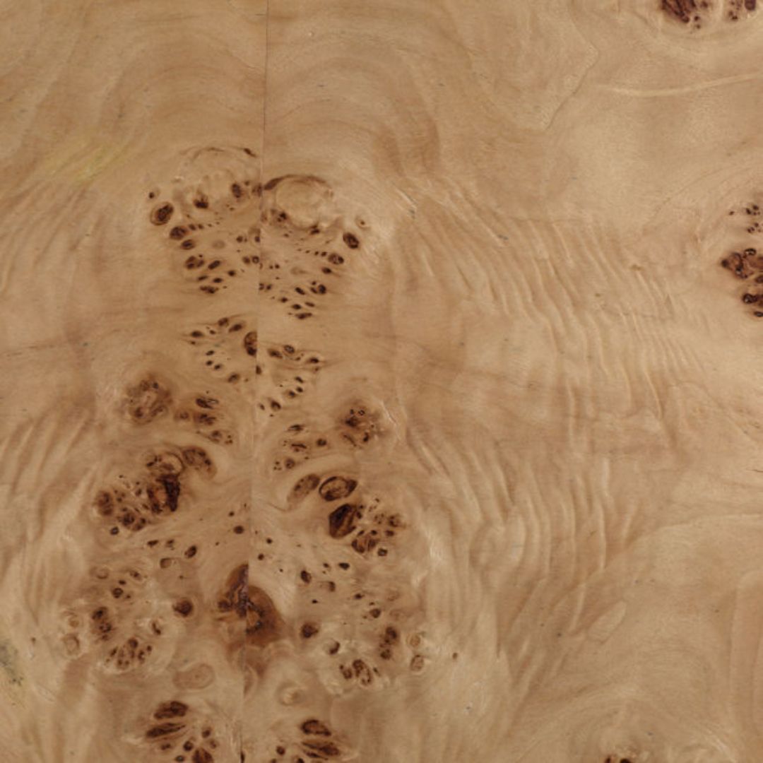 Maja Burl Wood Coffee Table - Coffee Tables - Hello Norden