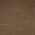 Nutmeg Waxed Canvas fabric swatch