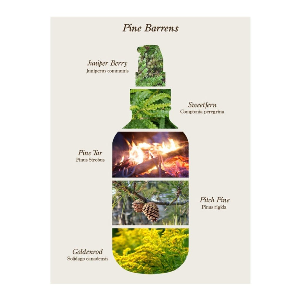 Pine Barrens Body Oil - Apothecary - Hello Norden