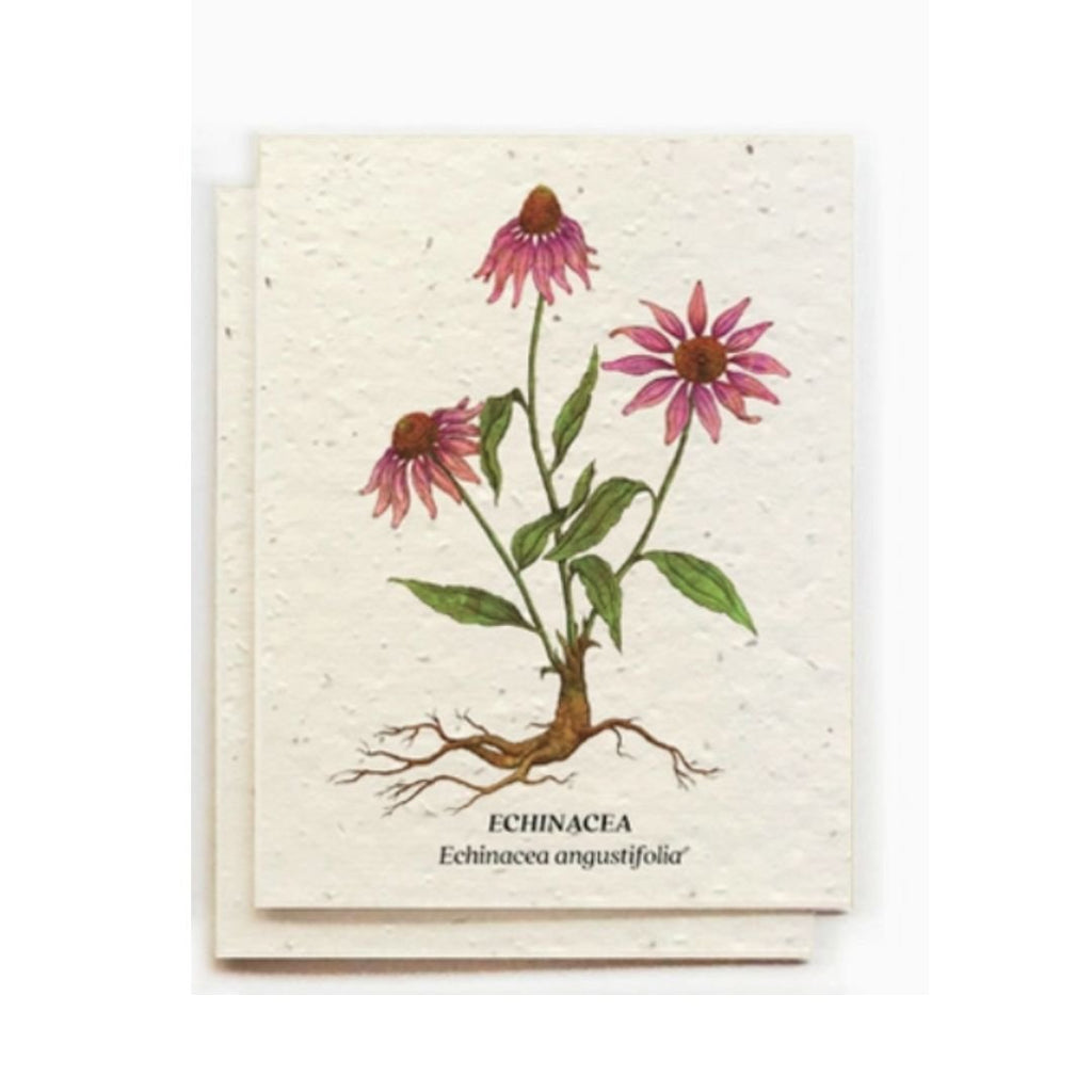 Plantable Medicinal Plants Seed Greeting Card - Gift Cards - Hello Norden