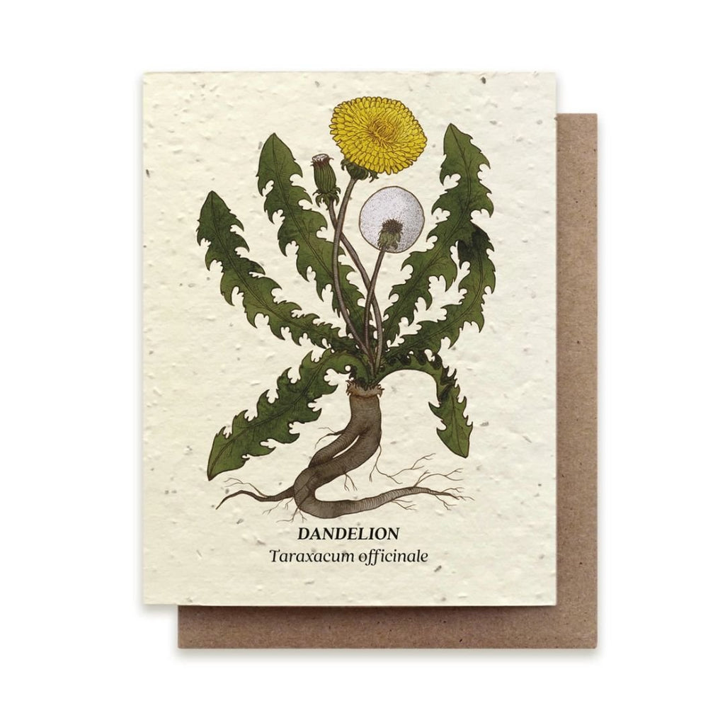 Plantable Medicinal Plants Seed Greeting Card - Gift Cards - Hello Norden