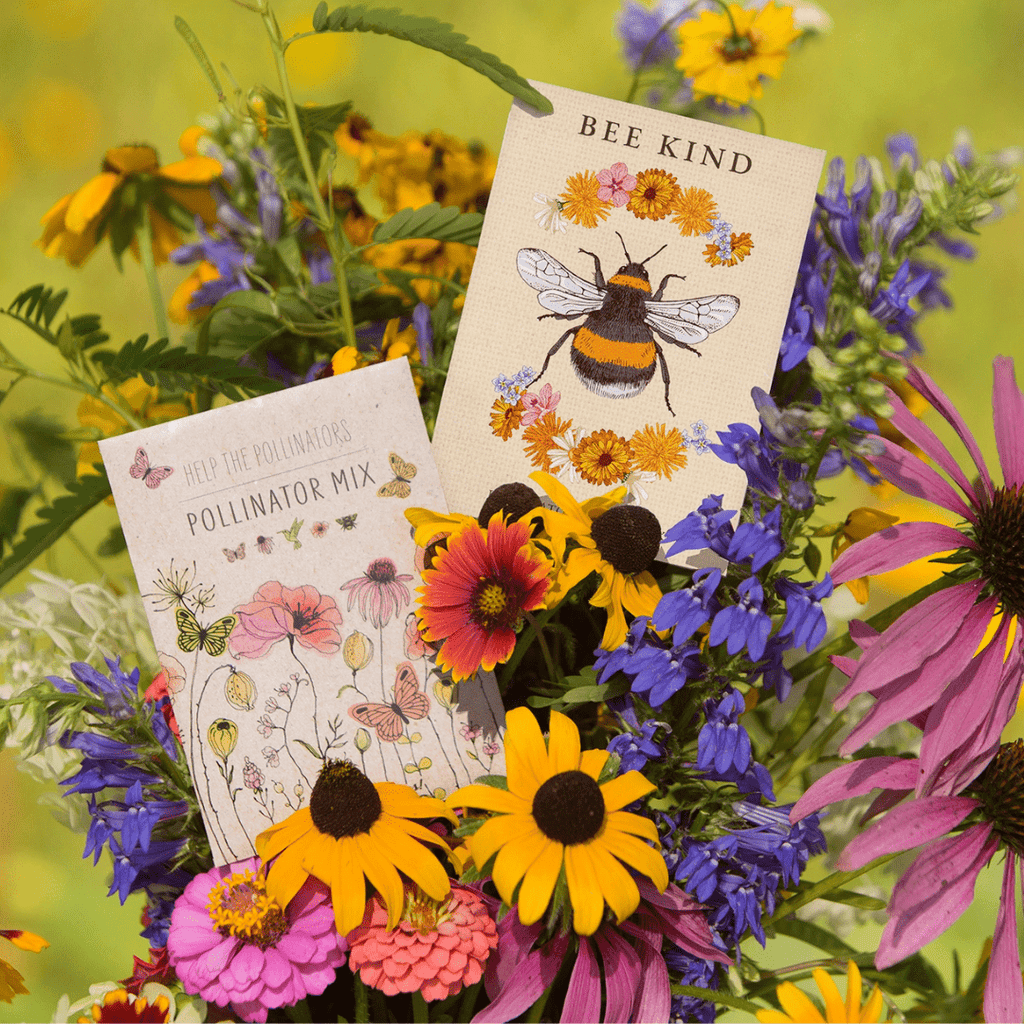 Pollinator Wildflower Mix Seed Packets - Seeds - Hello Norden