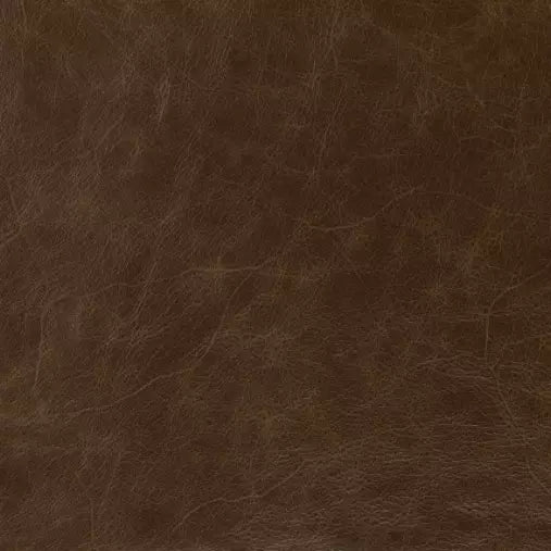 St Croix Holm Sweet Holm Aniline Leather fabric swatch