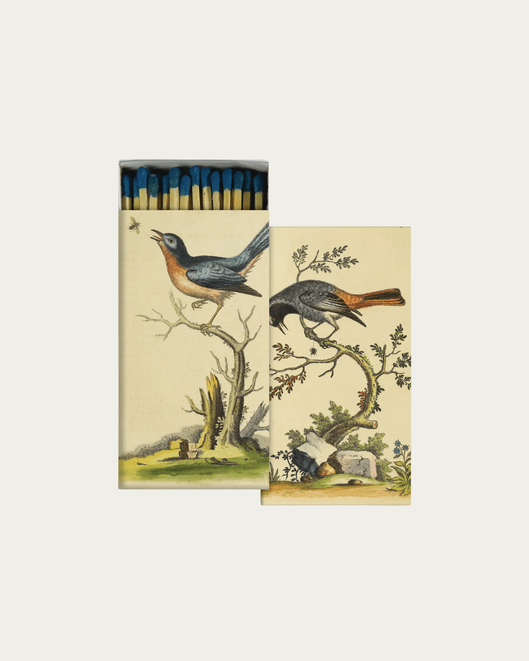 Striker Match Box - Apothecary - Hello Norden