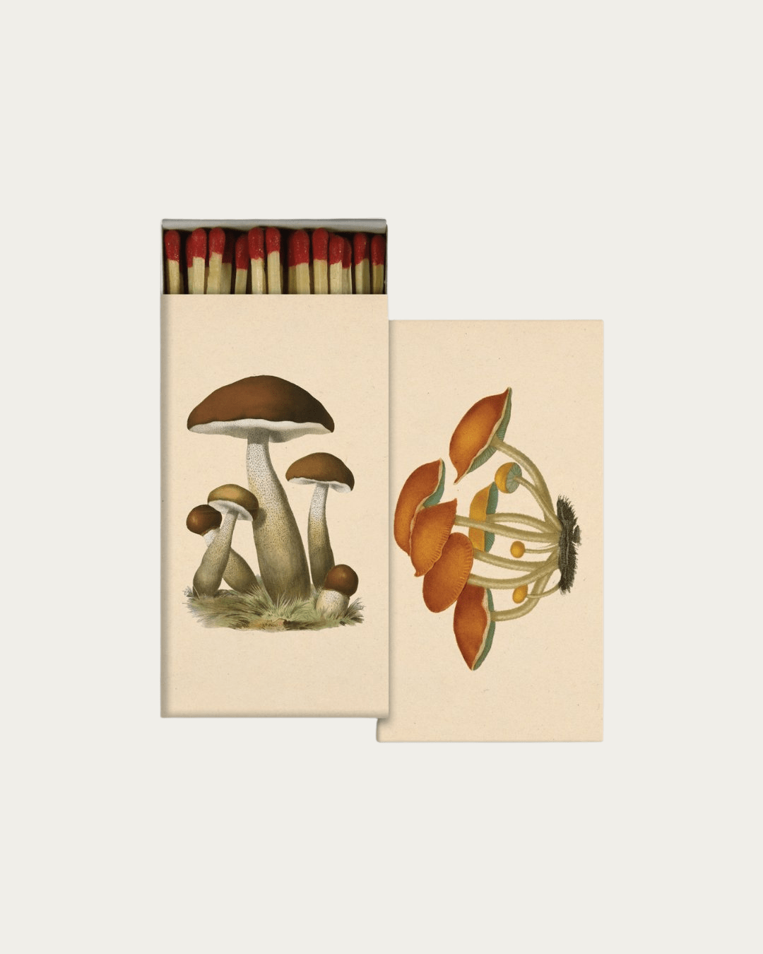 Striker Match Box - Apothecary - Hello Norden