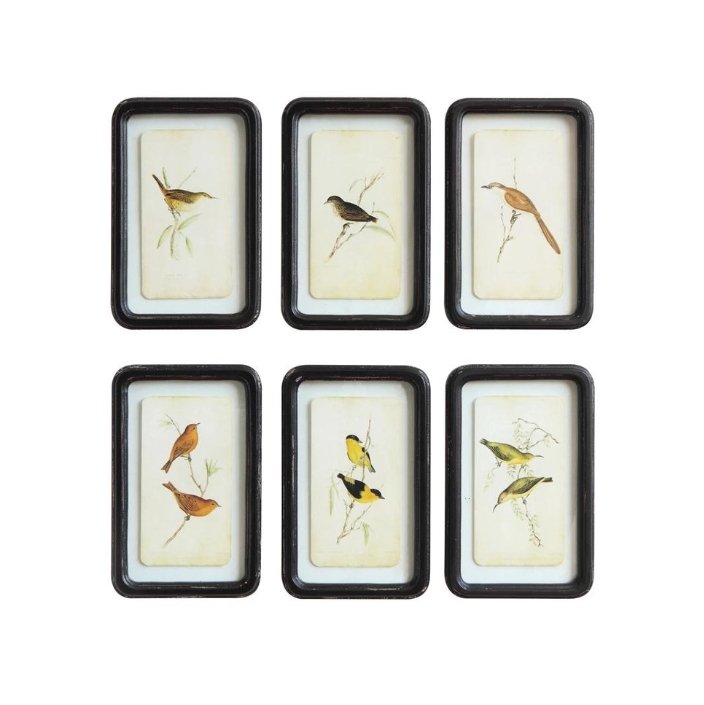 Distressed Framed Bird Print