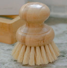 Fern All Natural Dishwashing Set - Large Soap & Dish Scrubber Brush - All Natural Cleaning Sets - Hello Norden