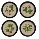 Framed floral wall art with botanical print - Art & Mirrors - Hello Norden