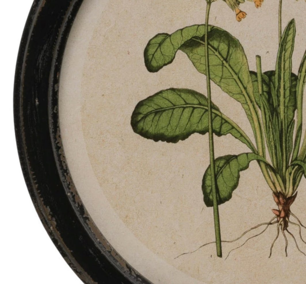 Framed floral wall art with botanical print - Art & Mirrors - Hello Norden
