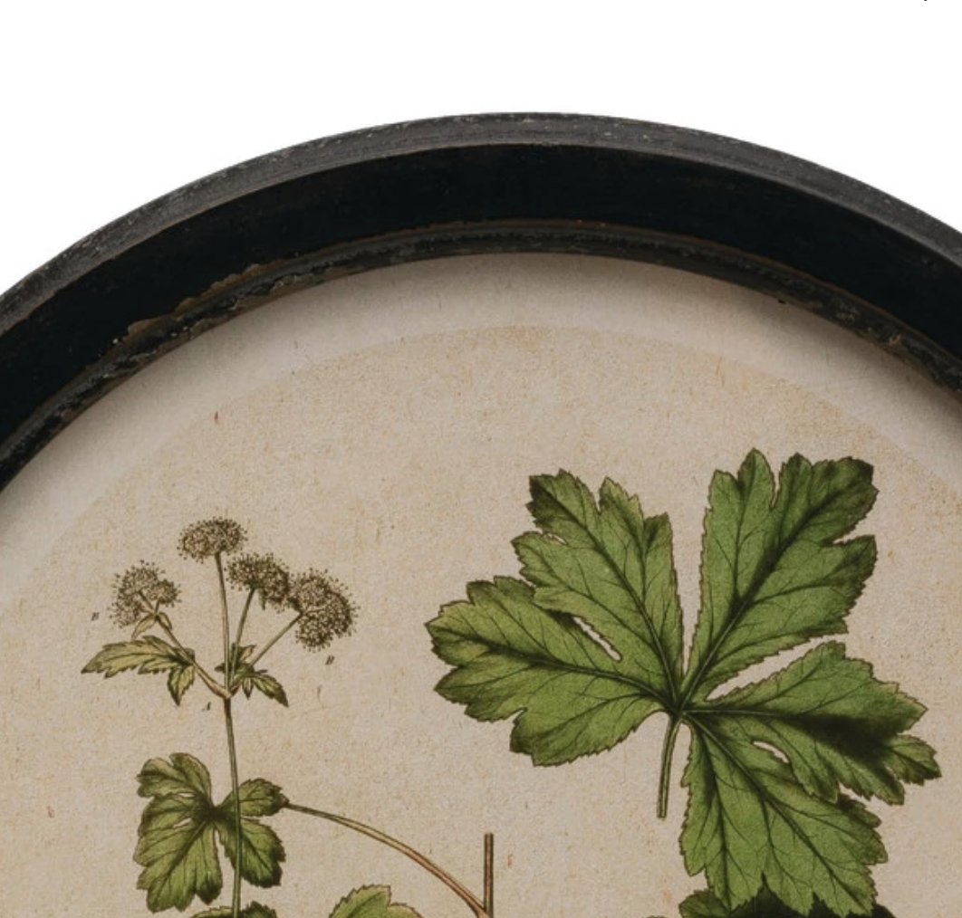 Framed floral wall art with botanical print - Art & Mirrors - Hello Norden