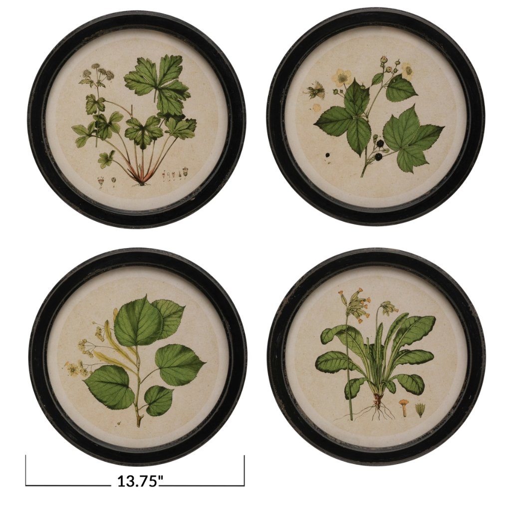 Framed floral wall art with botanical print - Art & Mirrors - Hello Norden