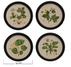 Framed floral wall art with botanical print - Art & Mirrors - Hello Norden