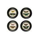 Framed Wall Decor with Butterflies & Moths - Art & Mirrors - Hello Norden
