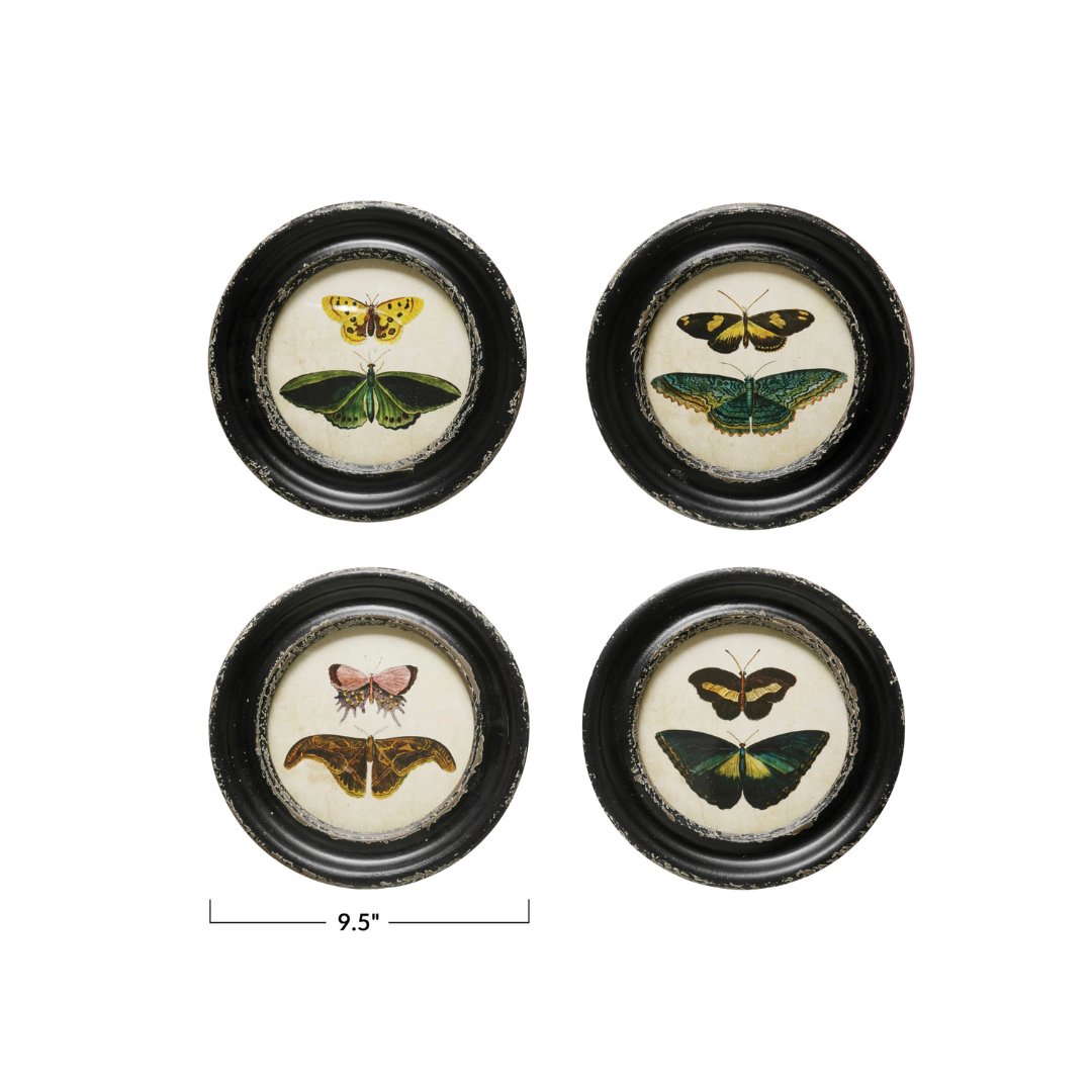 Framed Wall Decor with Butterflies & Moths - Art & Mirrors - Hello Norden