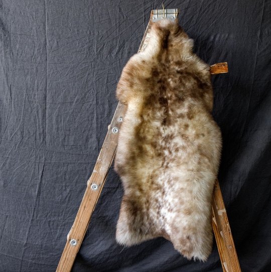 German Black Head Sheepskin Throw Rug