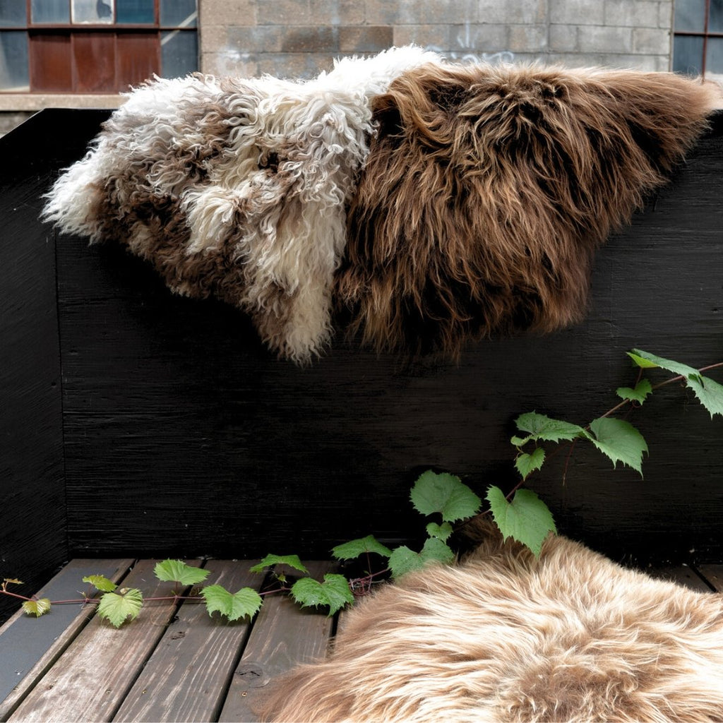 Icelandic Sheepskin Throw Rug - Dyed Brown - Rugs - Hello Norden