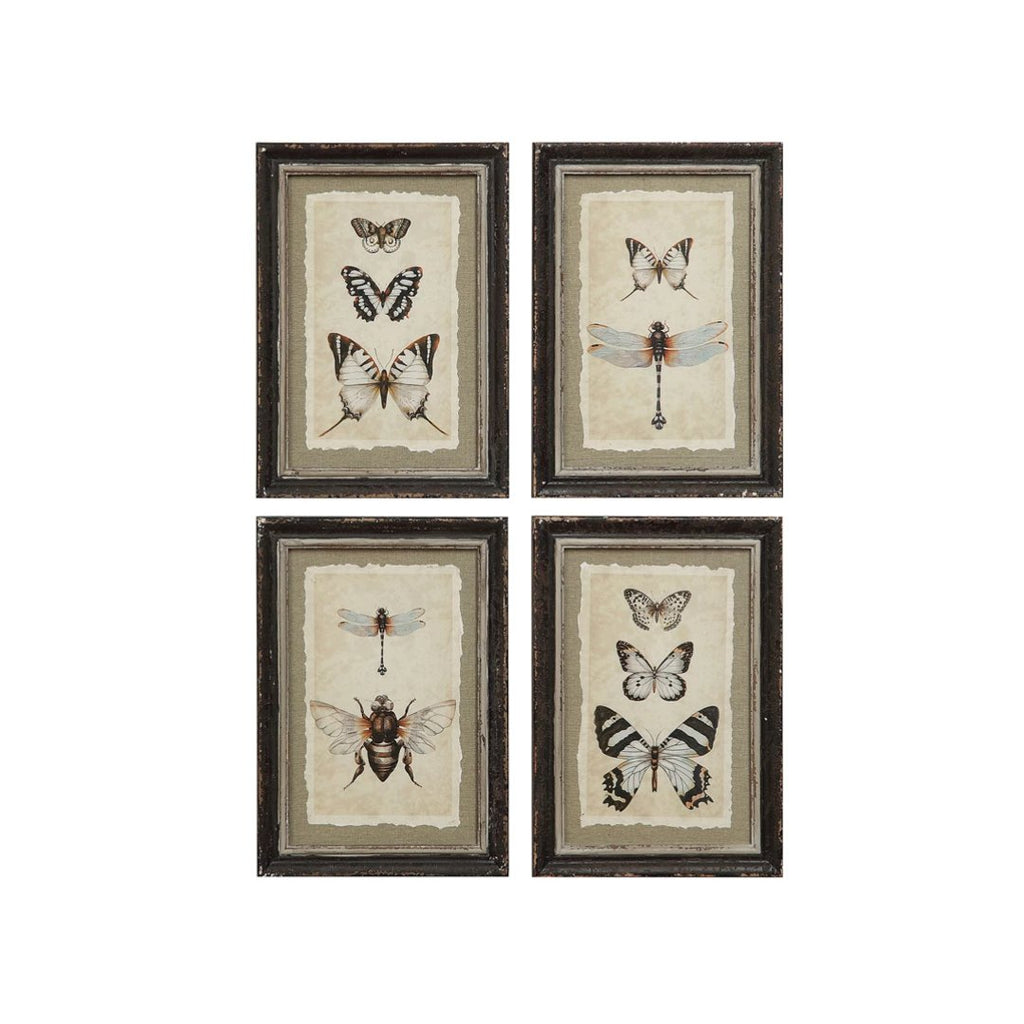 Lensa Framed Wall Decor with Insect Print - Art & Mirrors - Hello Norden