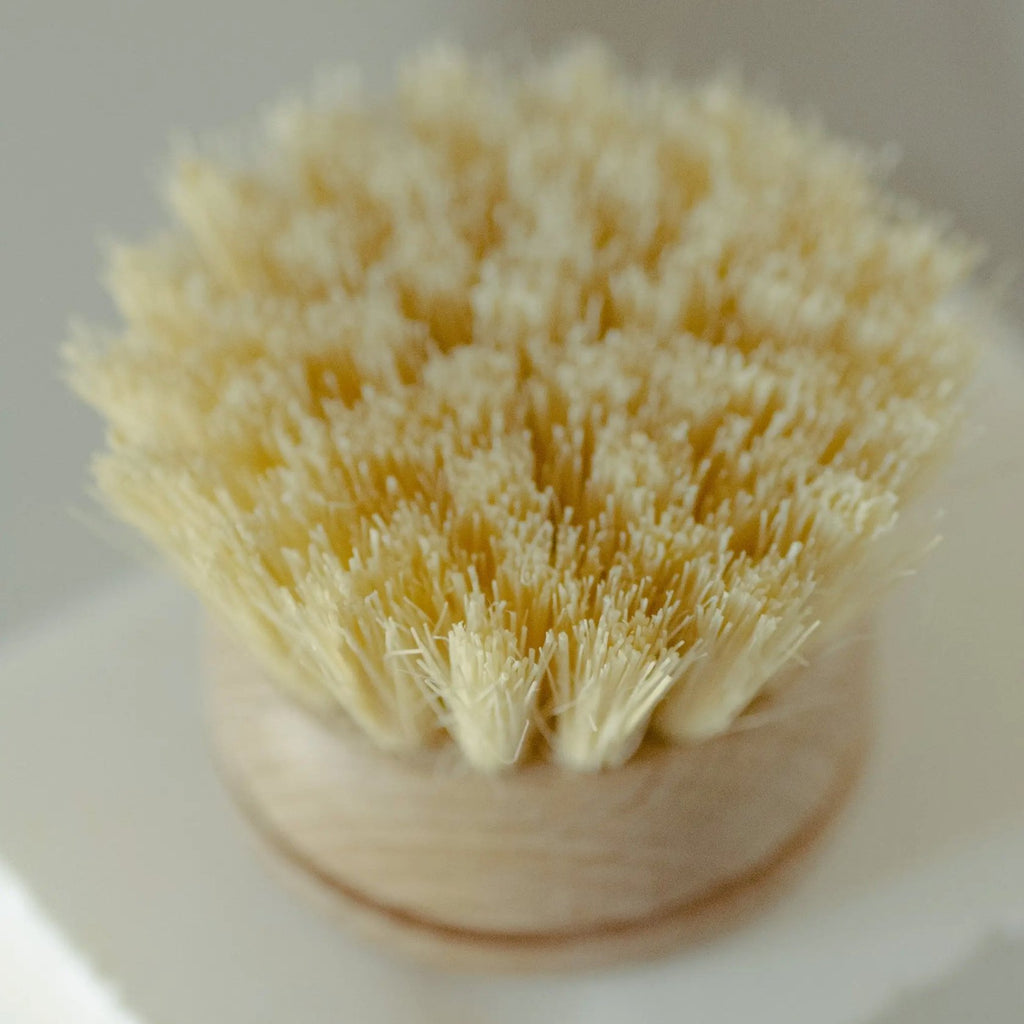 Replacement Head for Wooden Dish Brush - Cleaning Brushes - Hello Norden