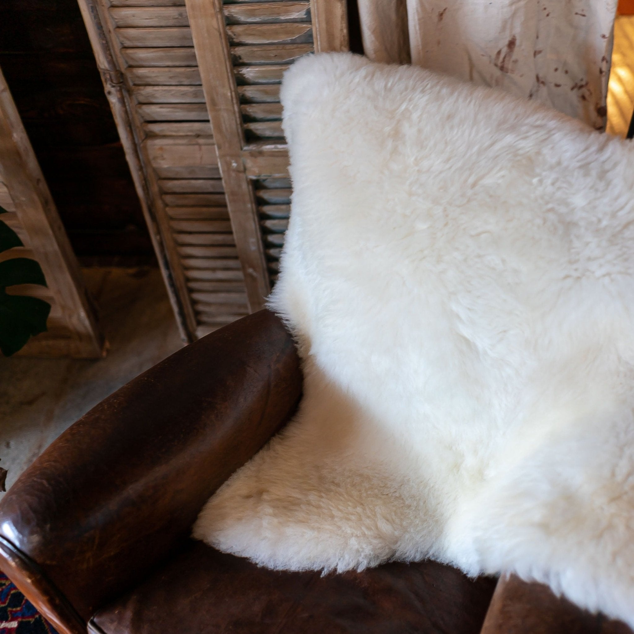 Texel Sheepskin Throw Rug - White - Rugs - Hello Norden