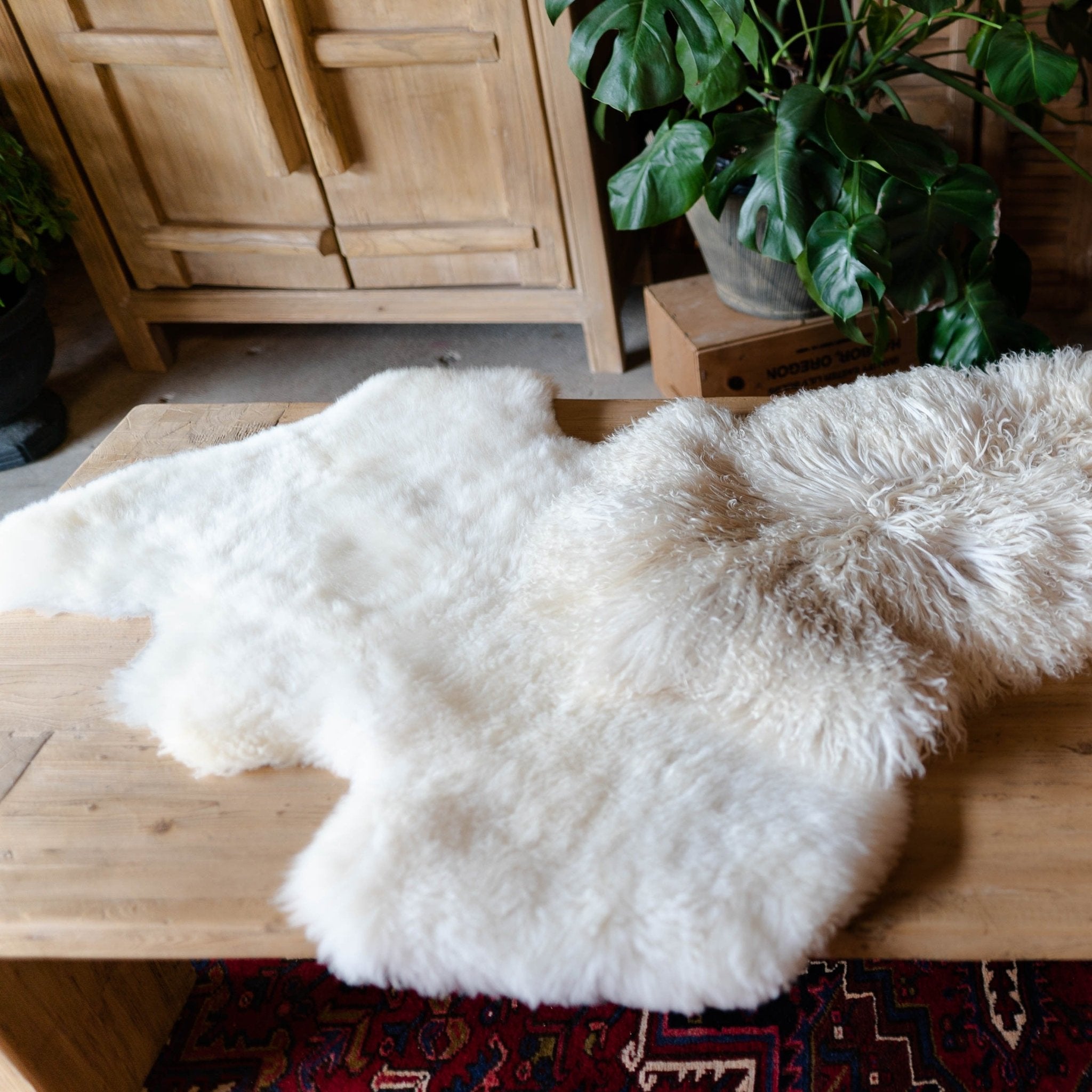 Texel Sheepskin Throw Rug - White - Rugs - Hello Norden