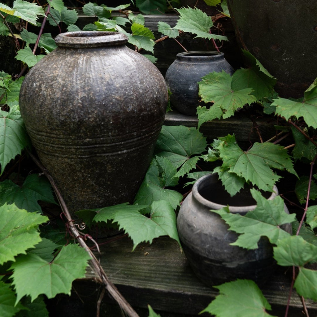 Vintage Wine Jar - Vases - Hello Norden