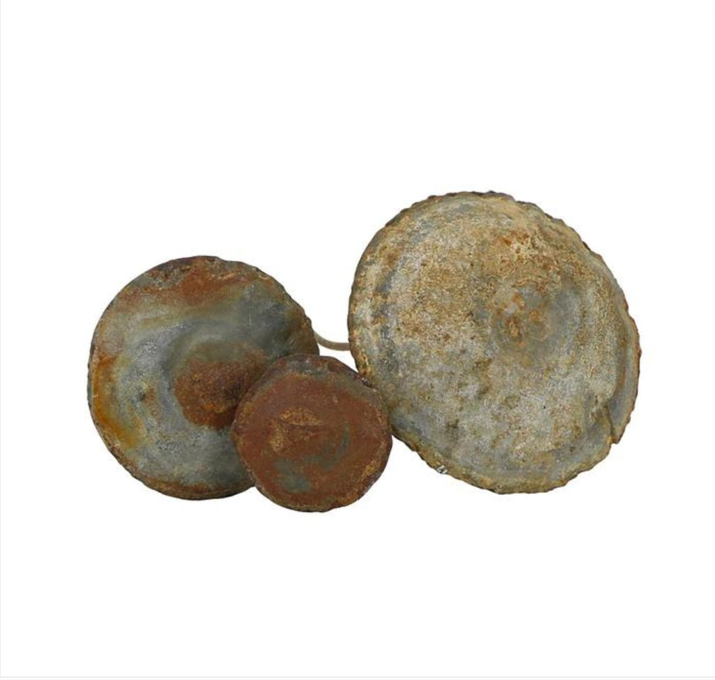 Zinc Mushroom - Decorative Objects - Hello Norden